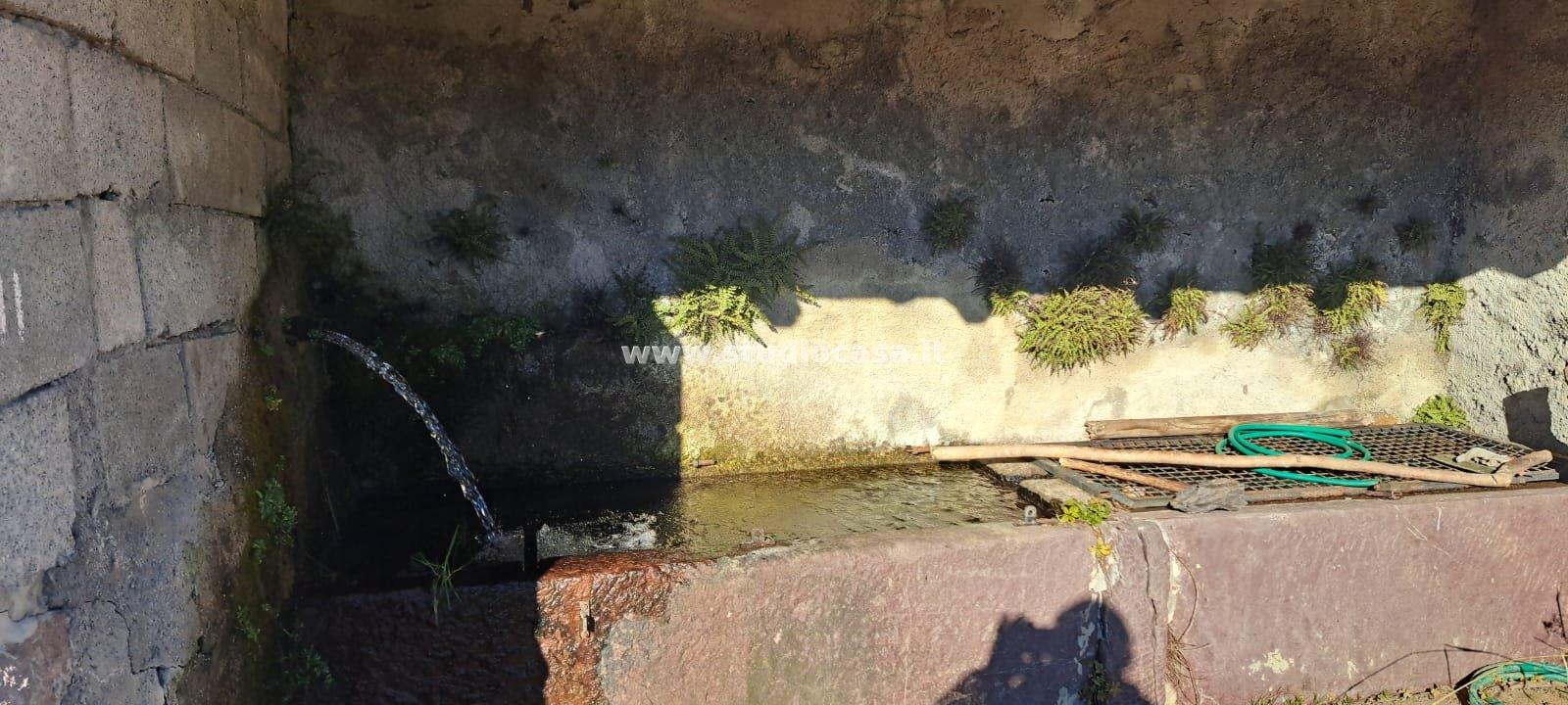 Terreno Agricolo in vendita a Ardesio