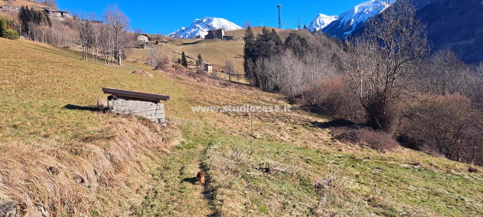 Terreno Agricolo in vendita a Ardesio