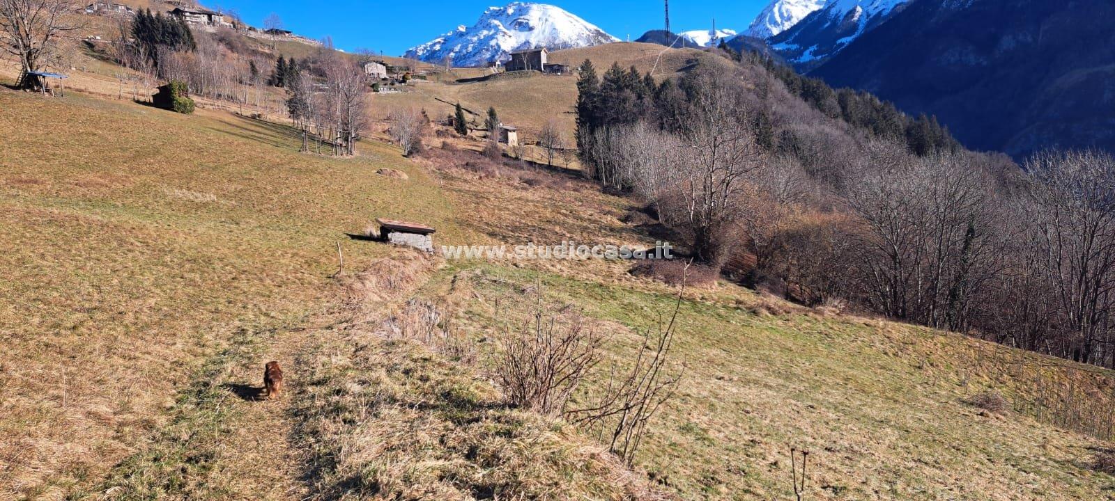 Terreno Agricolo in vendita a Ardesio