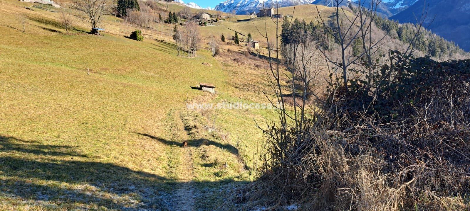 Terreno Agricolo in vendita a Ardesio