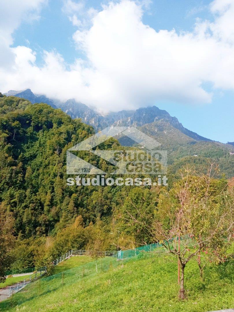 Casa Rustica in vendita a Gorno