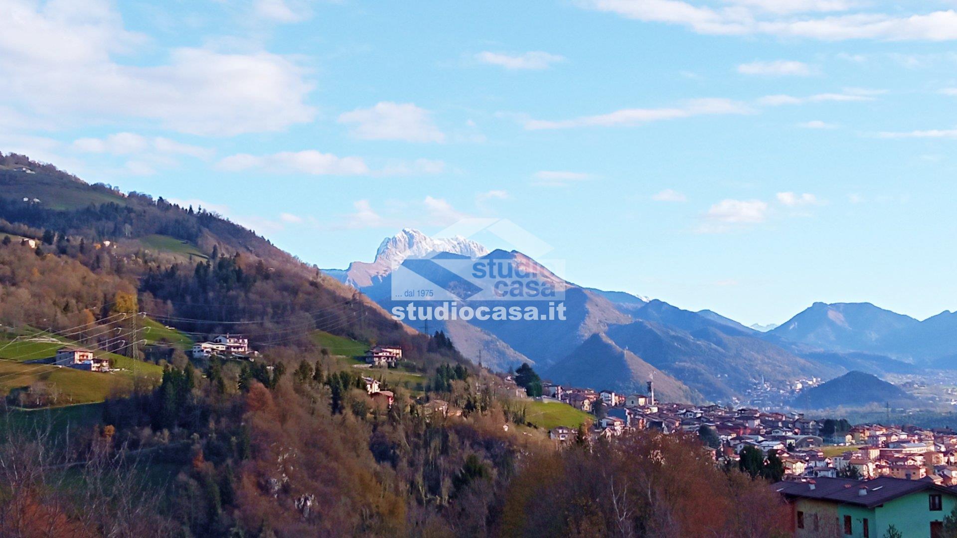 Appartamento in vendita a Ponte Nossa