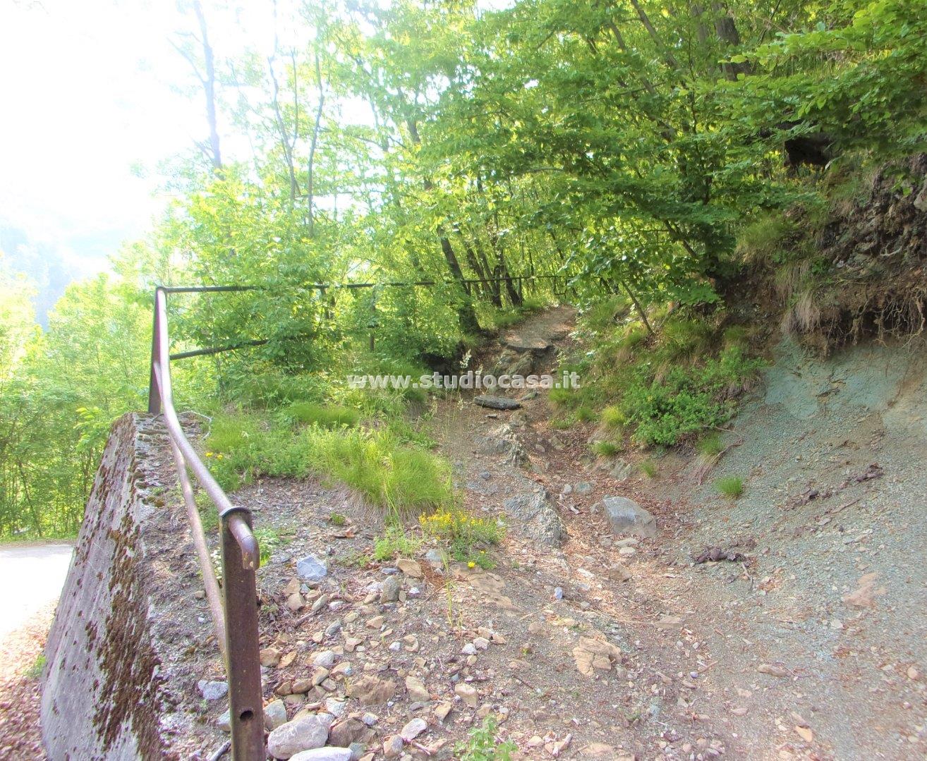 Terreno Agricolo in vendita a Gorno