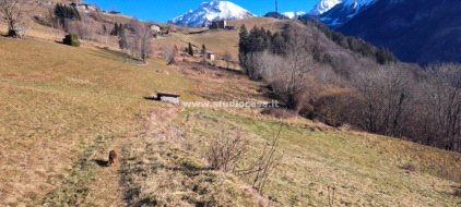 Terreno Agricolo in vendita a Ardesio