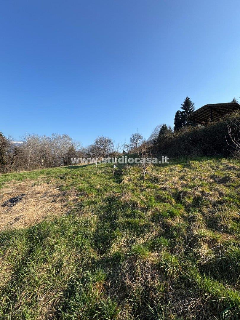 Terreno Agricolo in vendita a Solto Collina