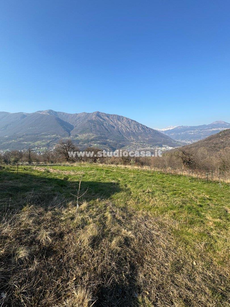 Terreno Agricolo in vendita a Solto Collina