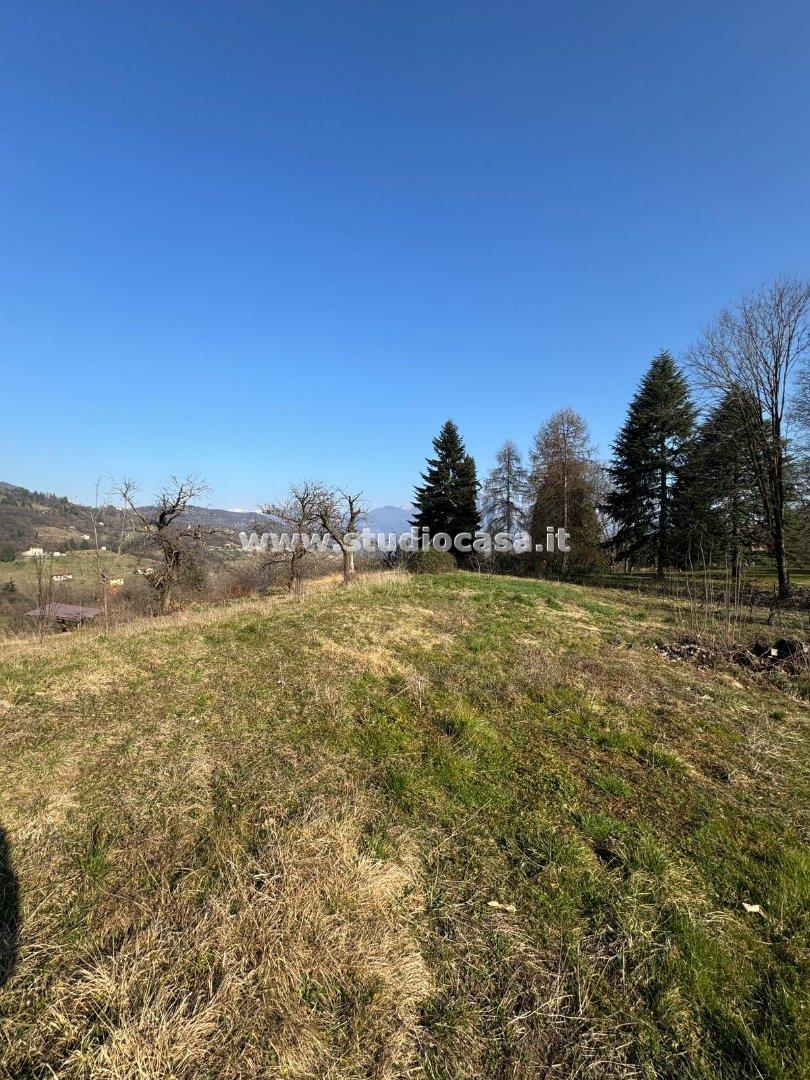Terreno Agricolo in vendita a Solto Collina