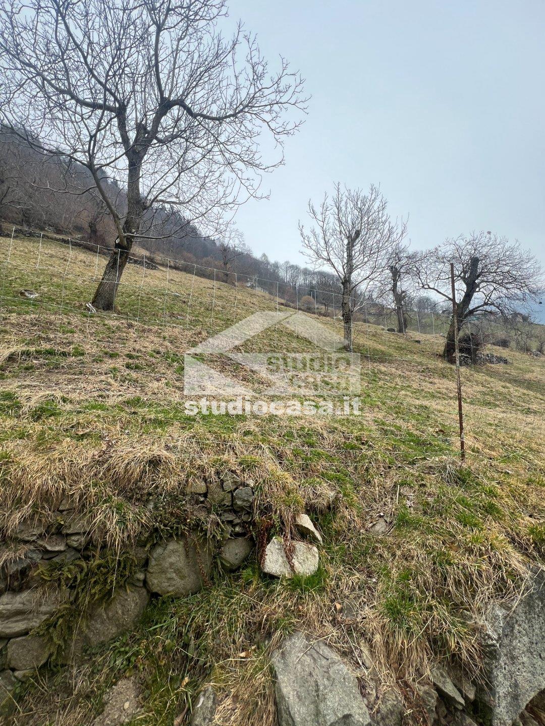 Cascina in vendita a Artogne