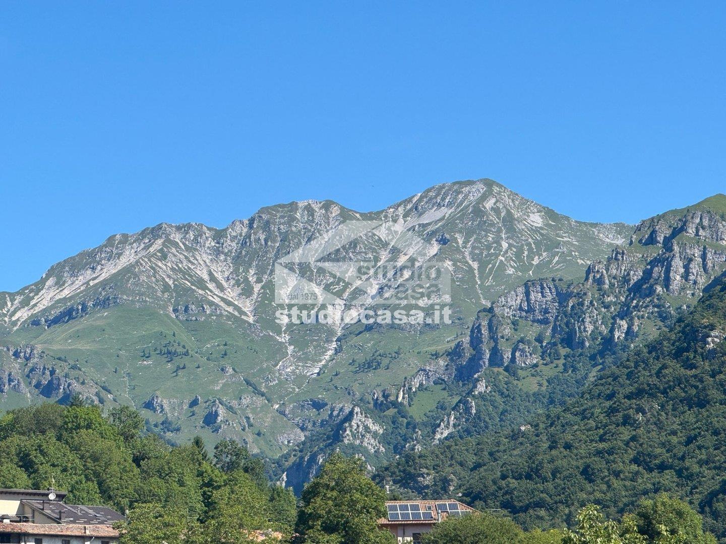 Appartamento in vendita a Premolo