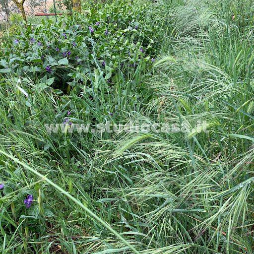 Terreno Agricolo in vendita a Endine Gaiano