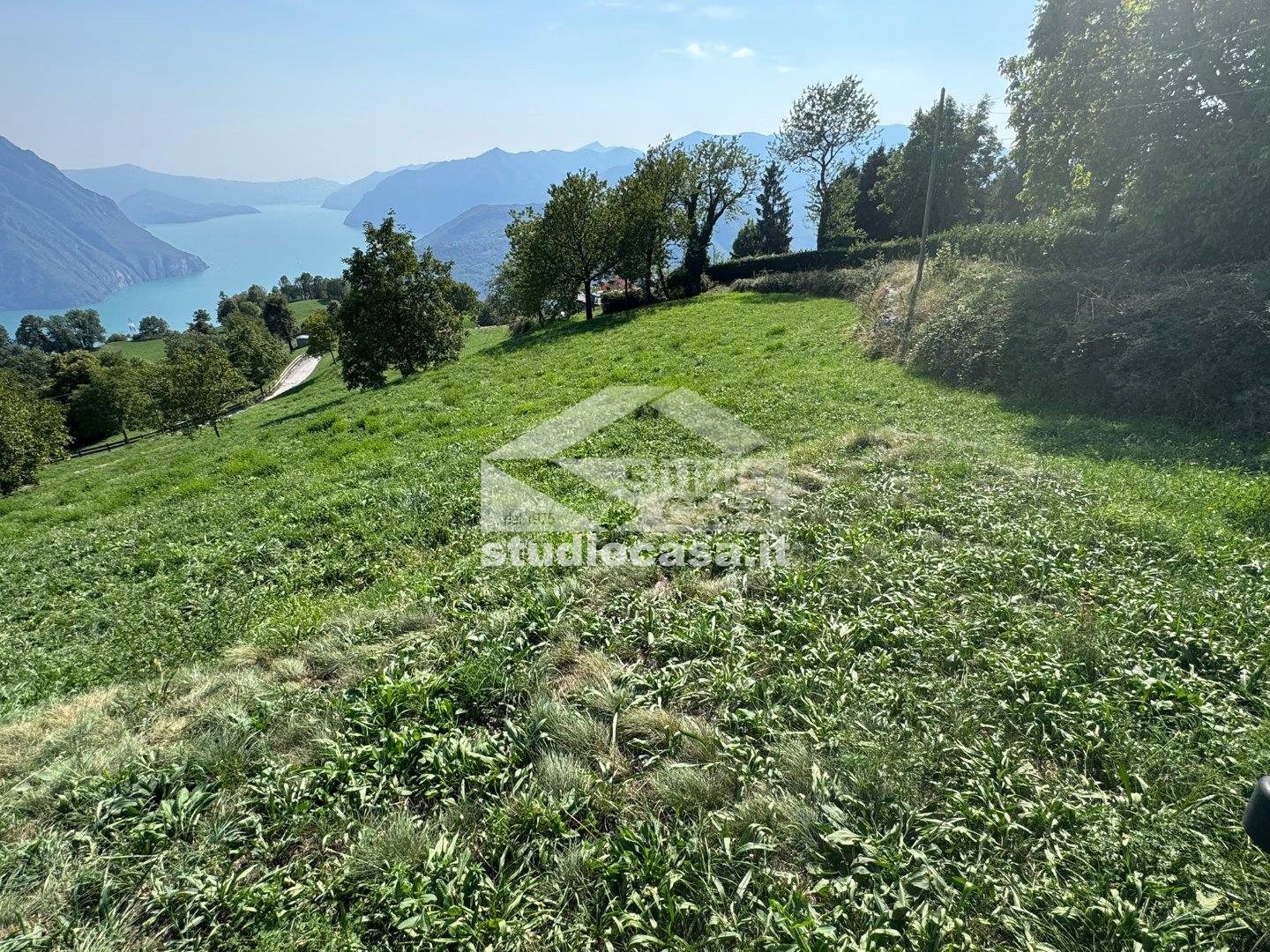 Terreno Agricolo in vendita a Bossico