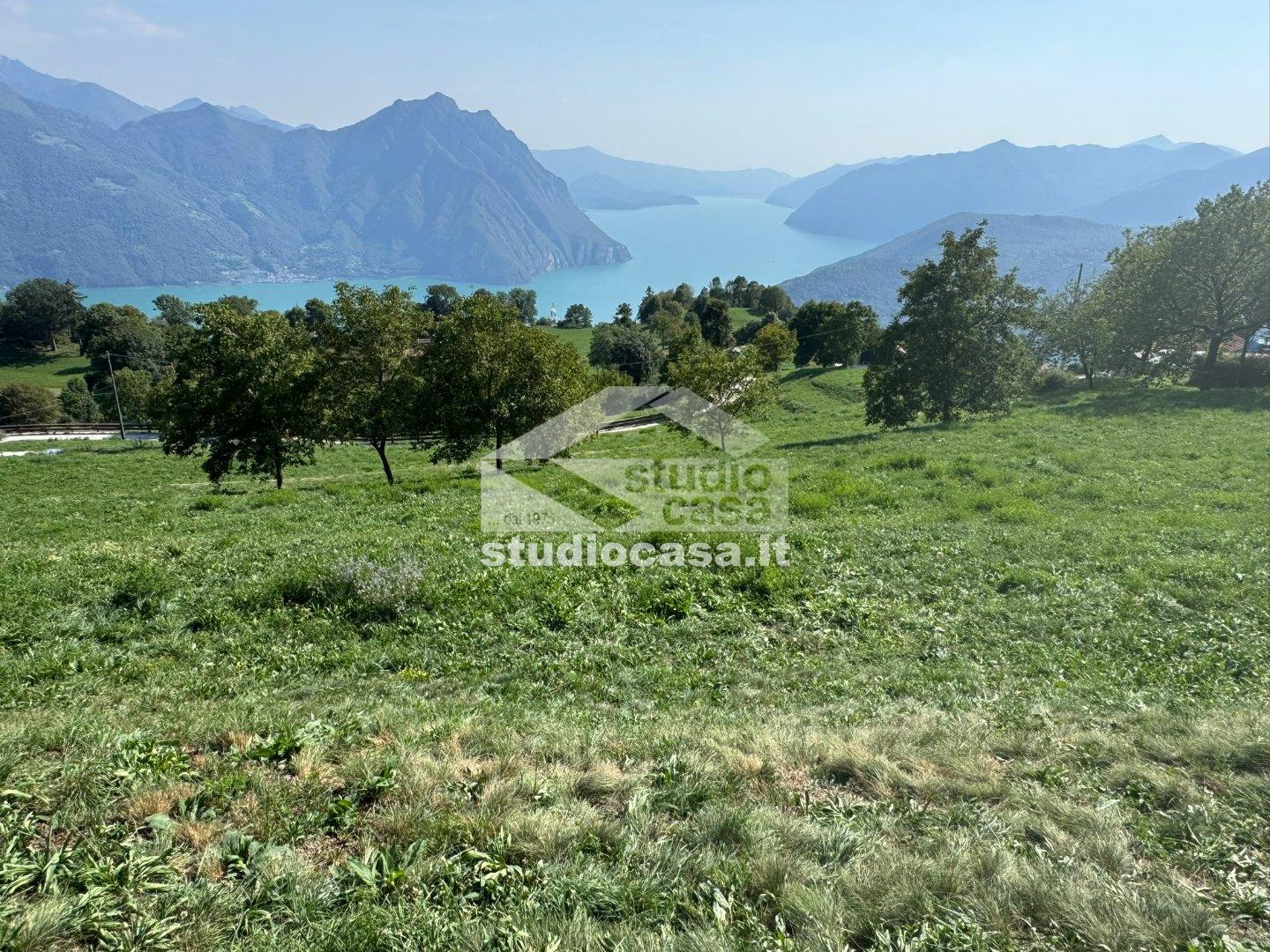 Terreno Agricolo in vendita a Bossico