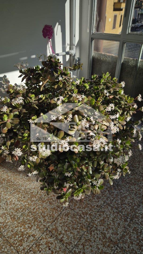 Appartamento in vendita a Lovere