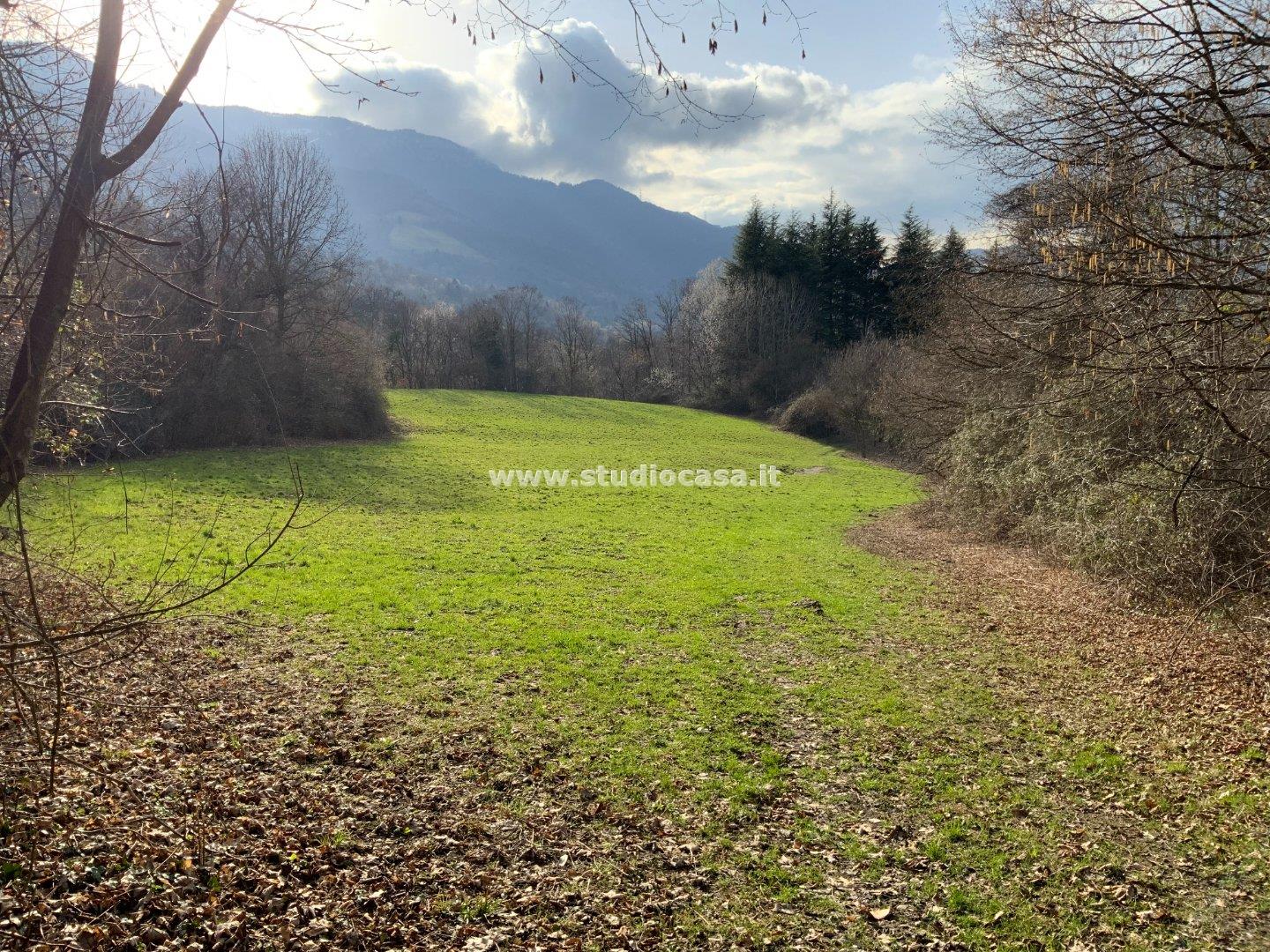 Terreno Agricolo in vendita a Solto Collina