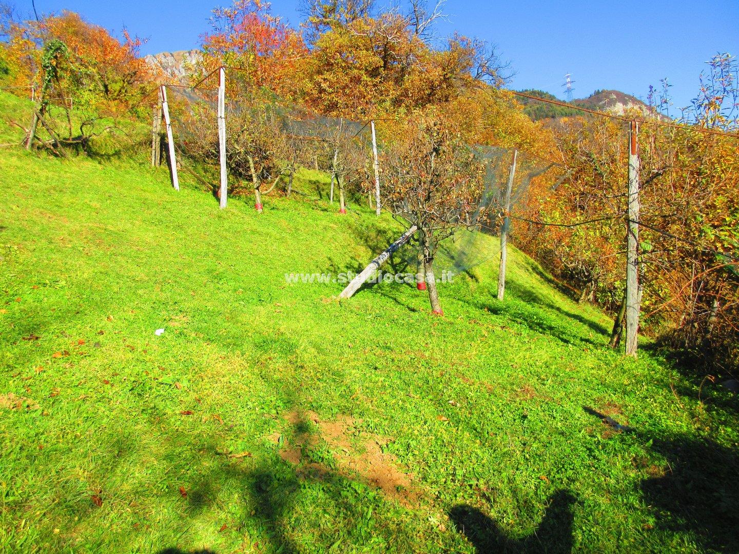 Casa Unifamiliare in vendita a Rogno