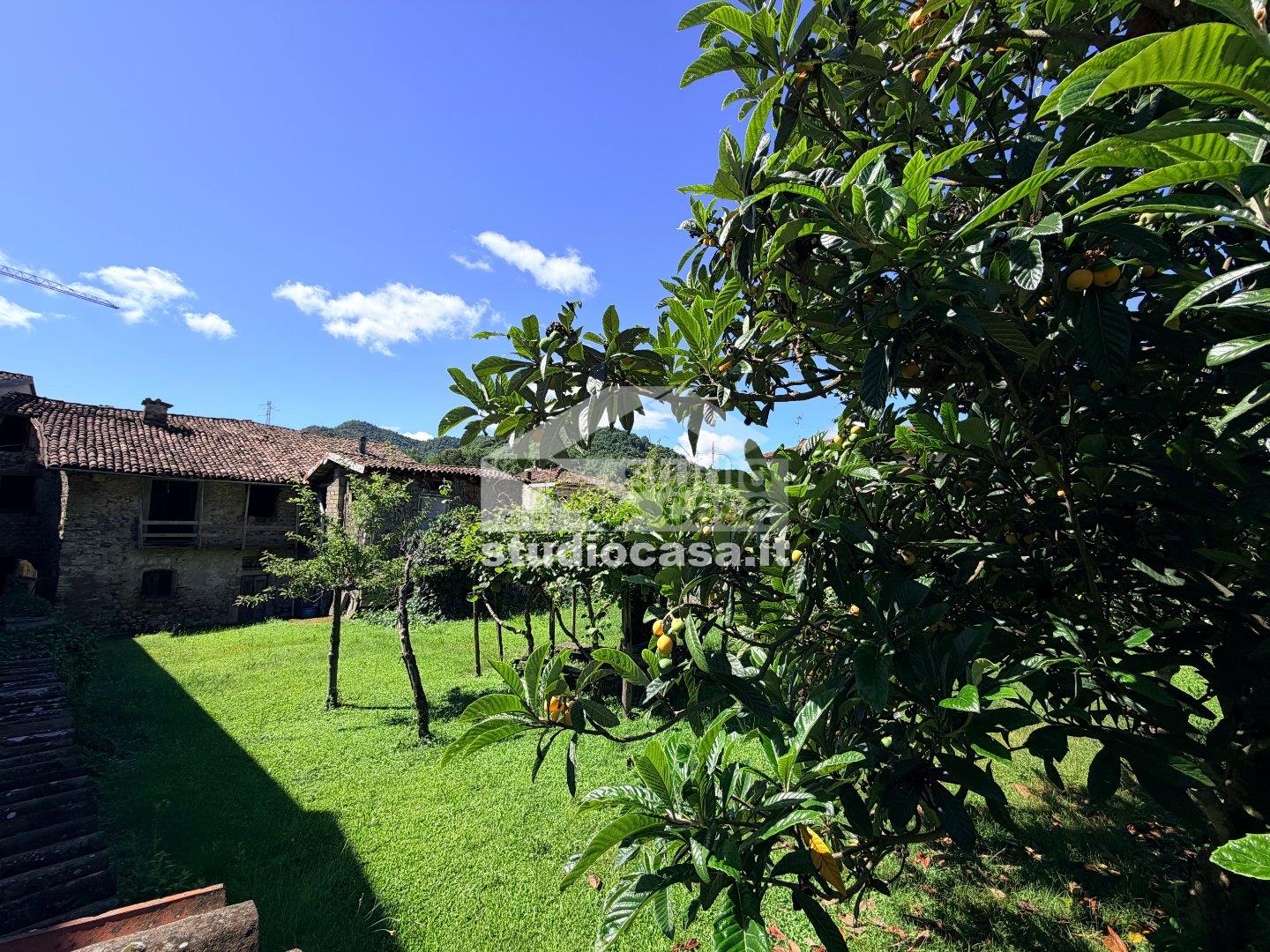 Casa Rustica in vendita a Borgo di Terzo