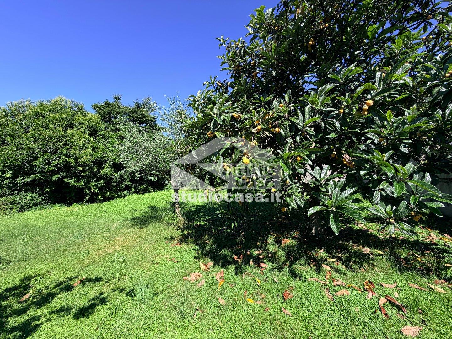 Casa Rustica in vendita a Borgo di Terzo