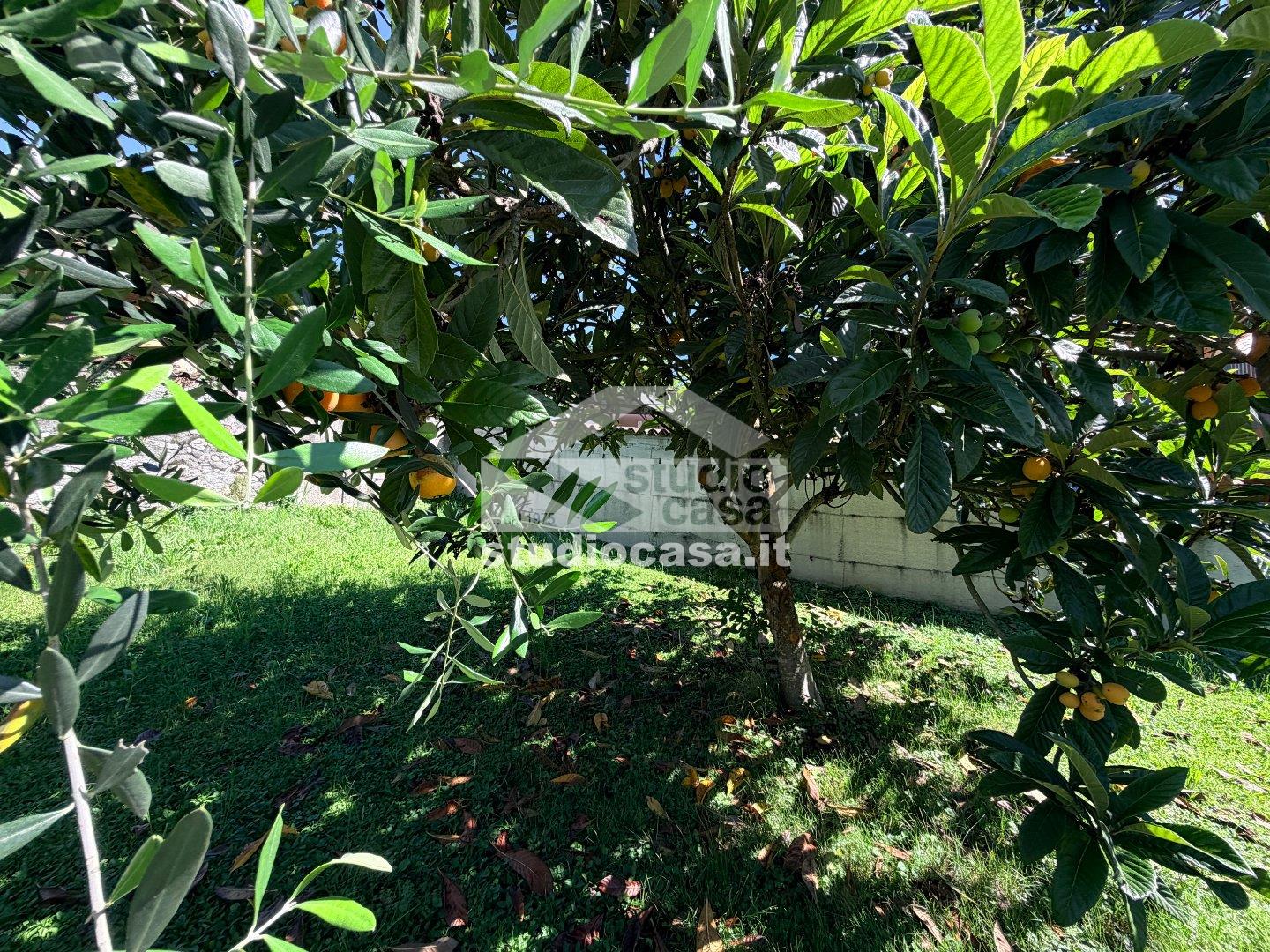 Casa Rustica in vendita a Borgo di Terzo