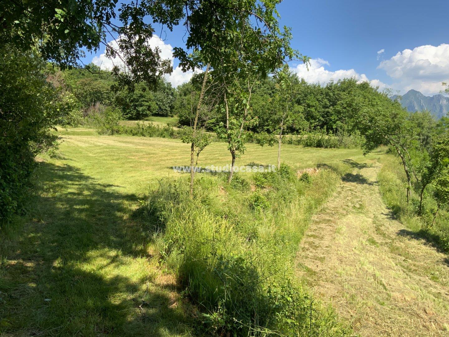 Terreno Agricolo in vendita a Solto Collina