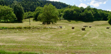Terreno Agricolo in vendita a Solto Collina