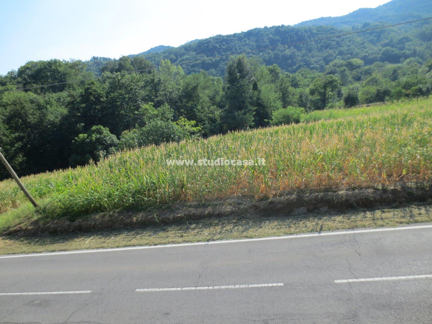 Terreno Agricolo in vendita a Valgreghentino
