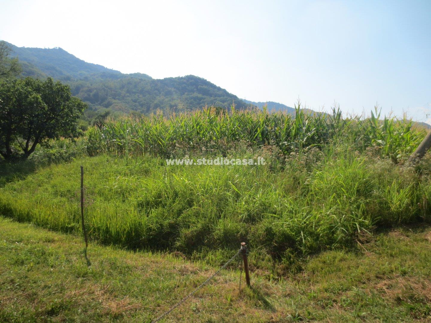 Terreno Agricolo in vendita a Valgreghentino