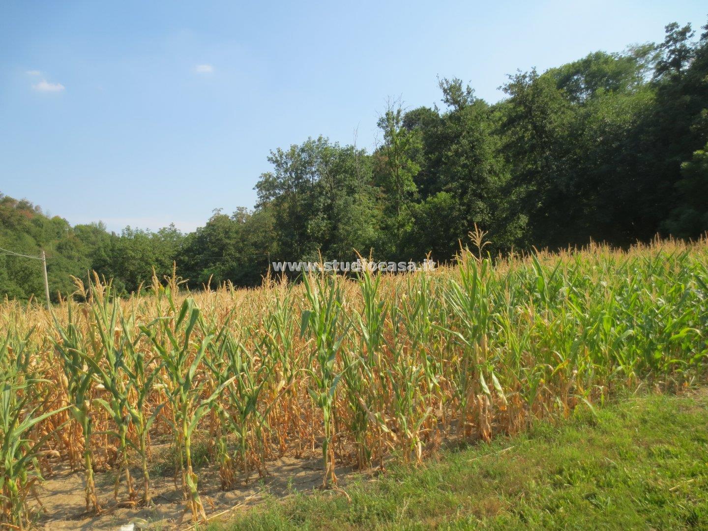 Terreno Agricolo in vendita a Valgreghentino