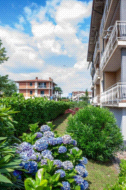 Appartamento in vendita a Sotto il Monte Giovanni XXIII