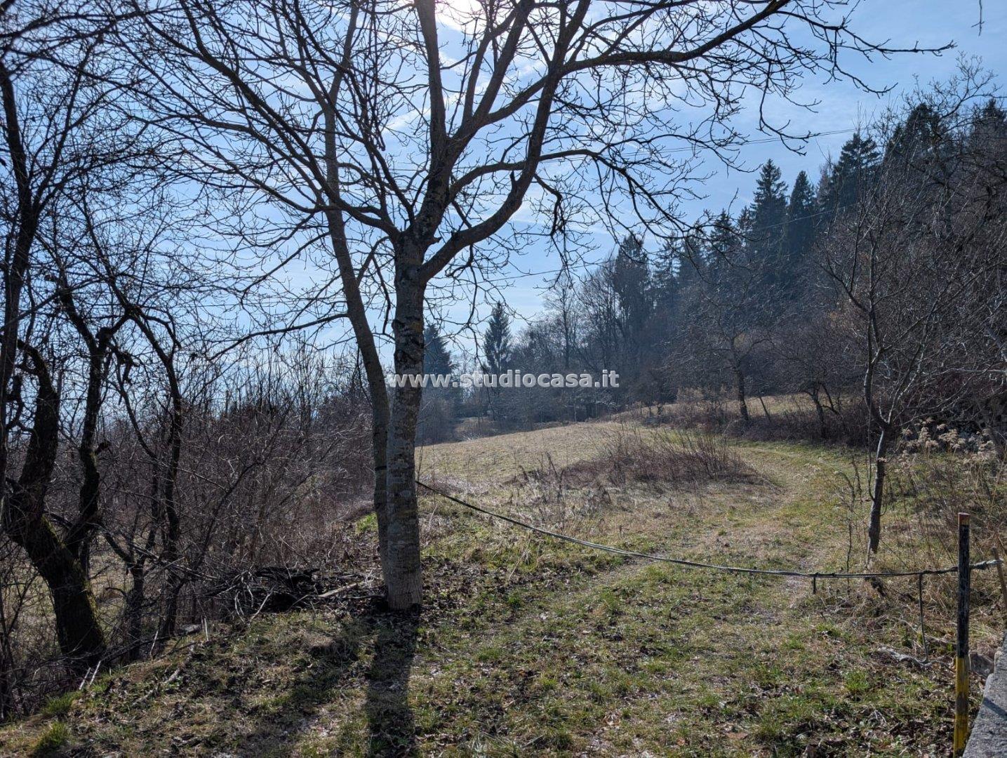 Terreno Boschivo in vendita a Villa Lagarina