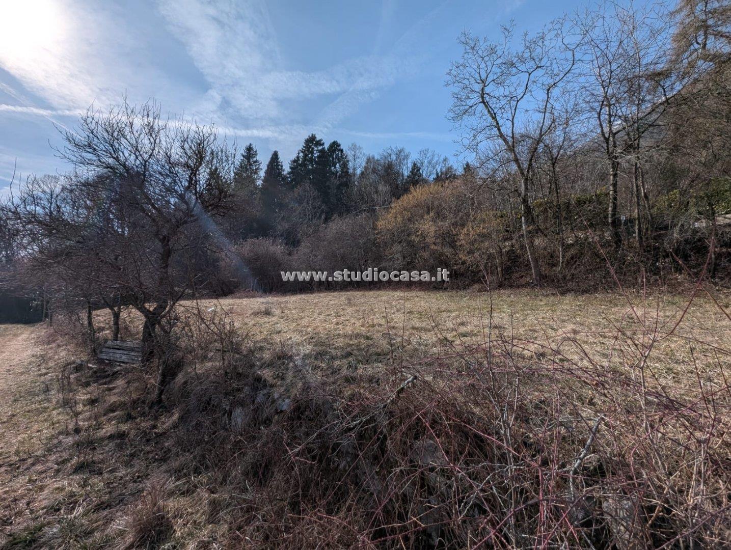 Terreno Boschivo in vendita a Villa Lagarina