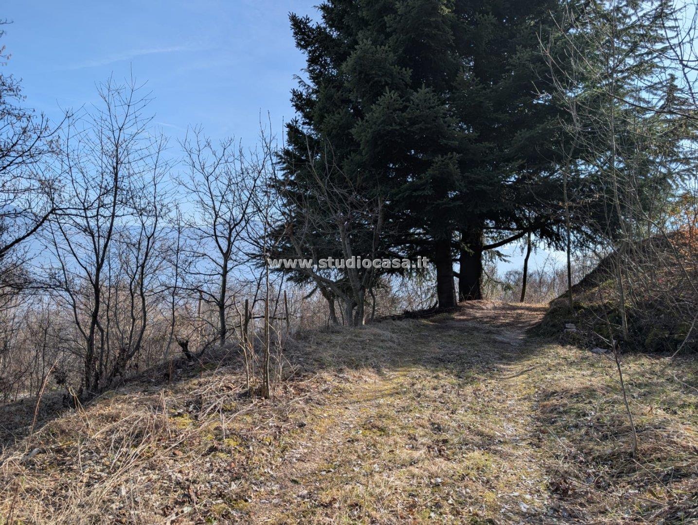 Terreno Boschivo in vendita a Villa Lagarina