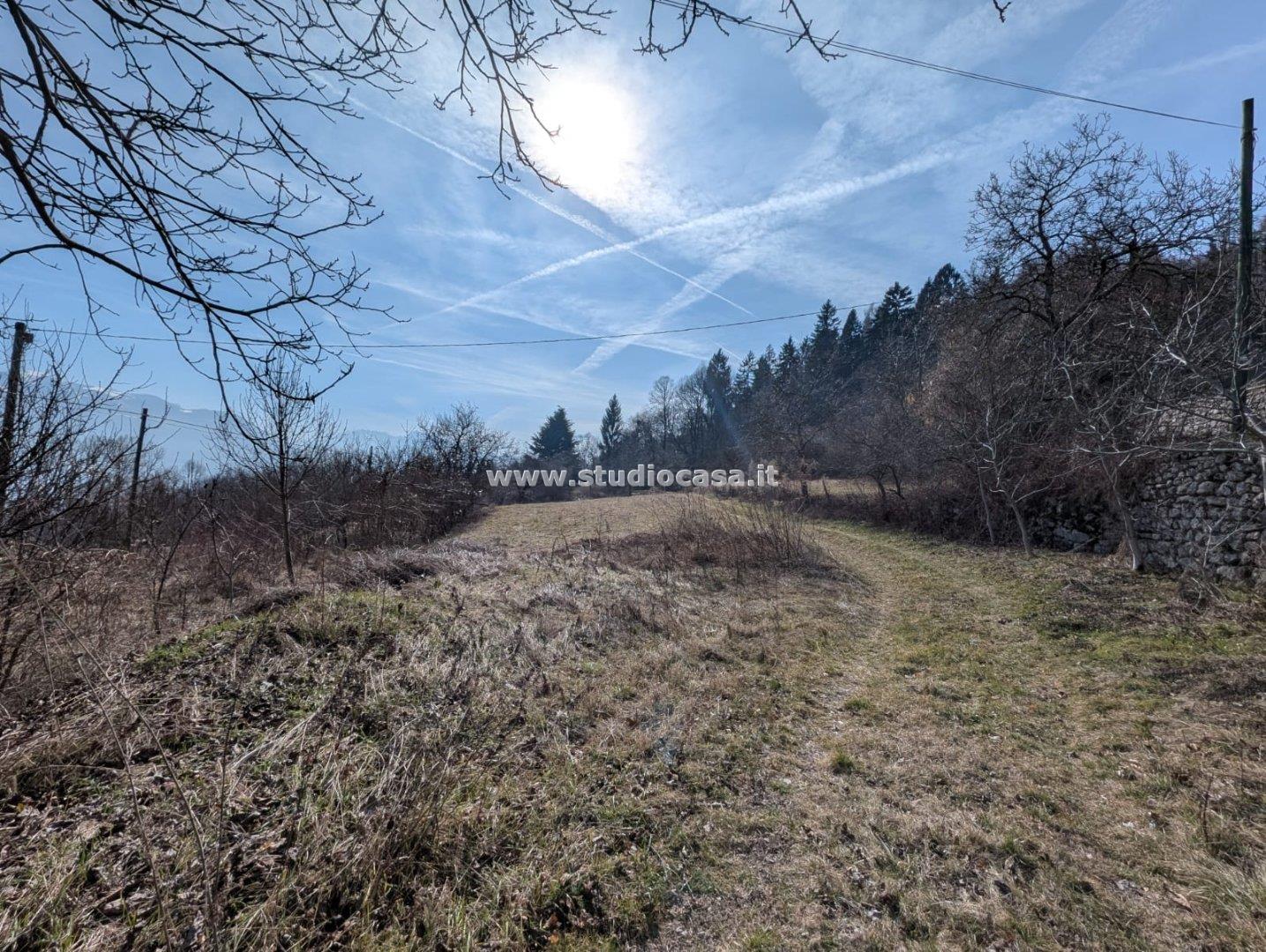 Terreno Boschivo in vendita a Villa Lagarina