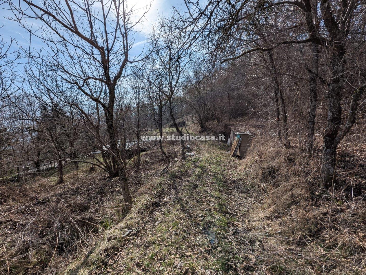 Terreno Boschivo in vendita a Villa Lagarina