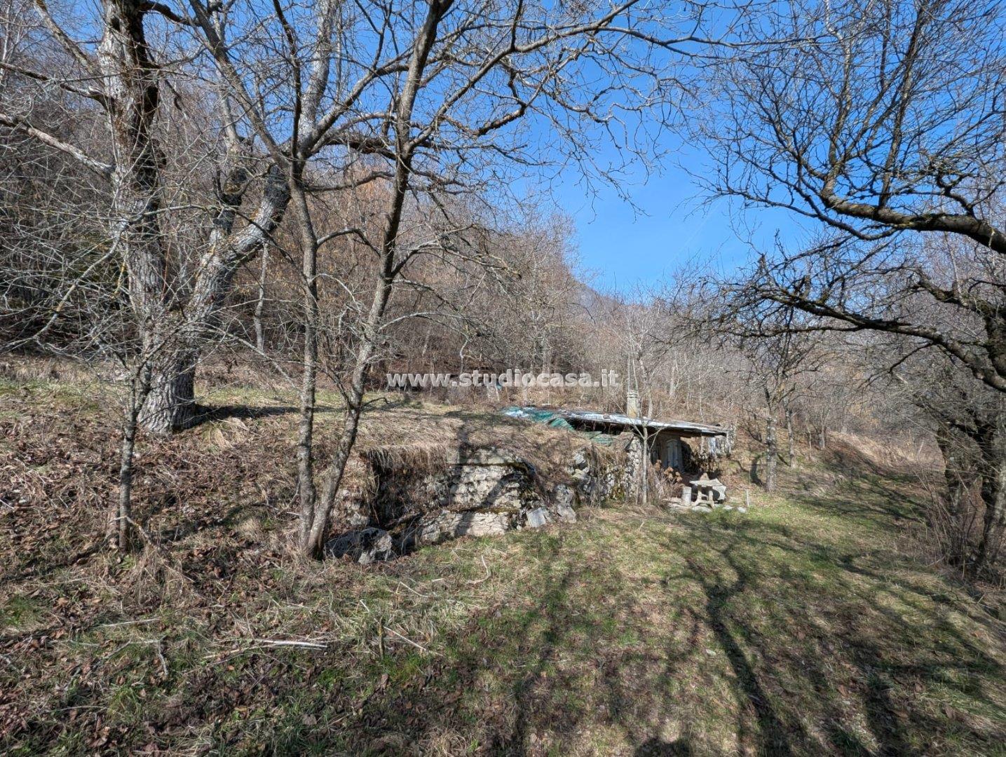 Terreno Boschivo in vendita a Villa Lagarina
