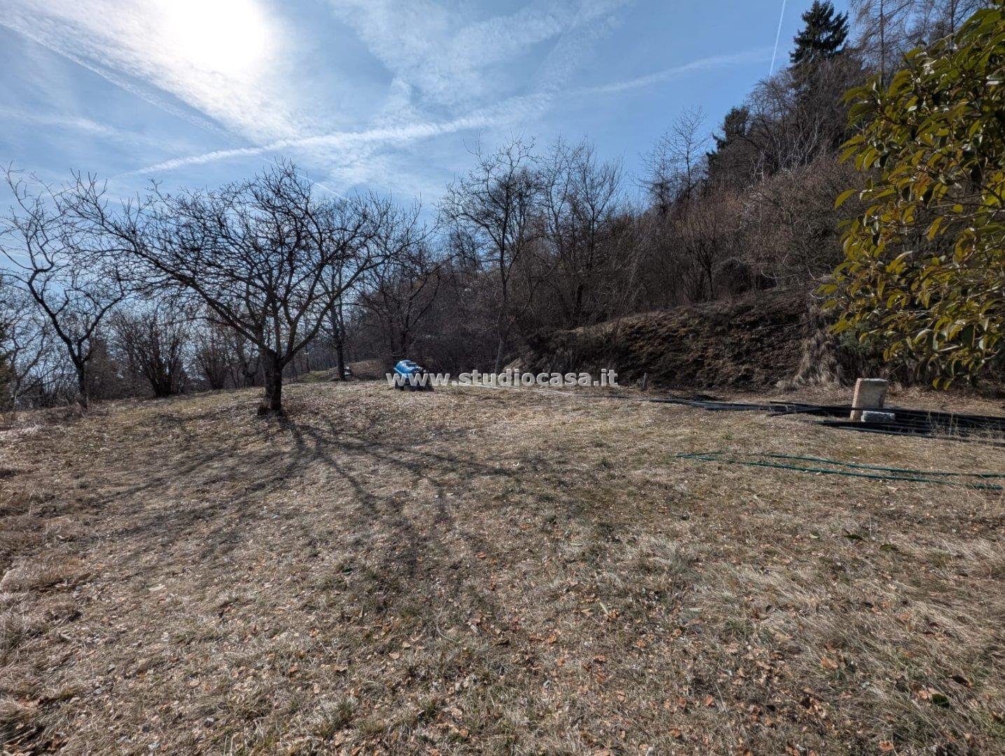 Terreno Boschivo in vendita a Villa Lagarina