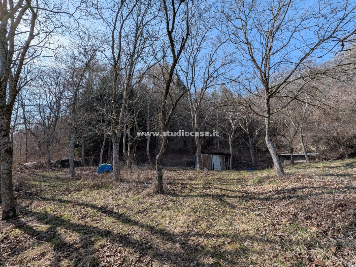 Terreno Boschivo in vendita a Villa Lagarina