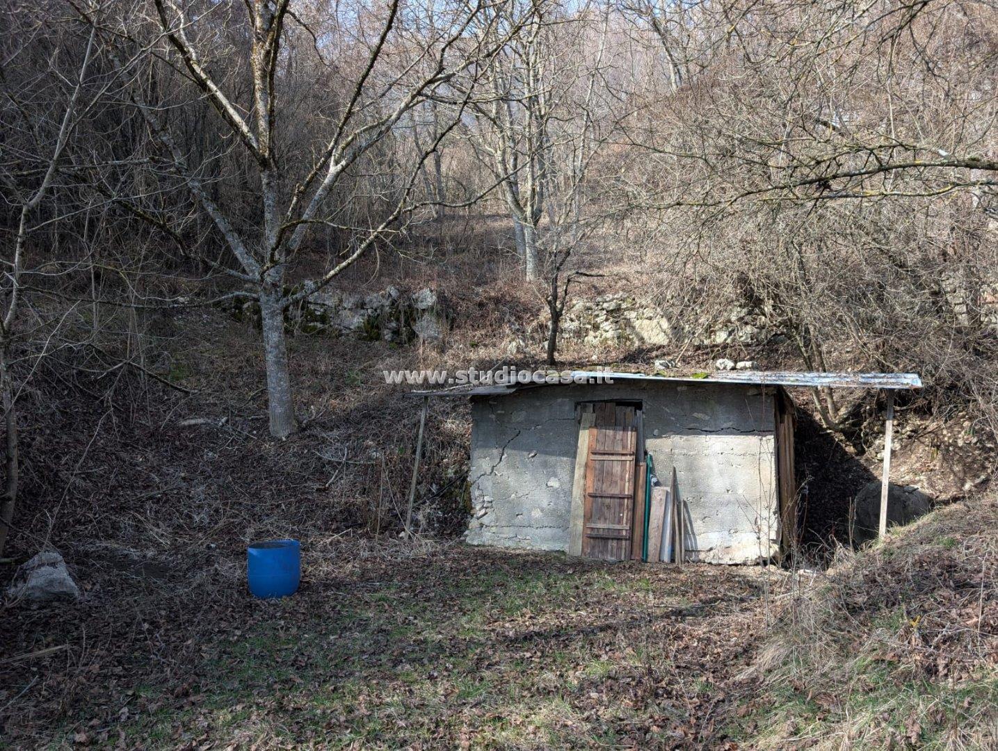 Terreno Boschivo in vendita a Villa Lagarina