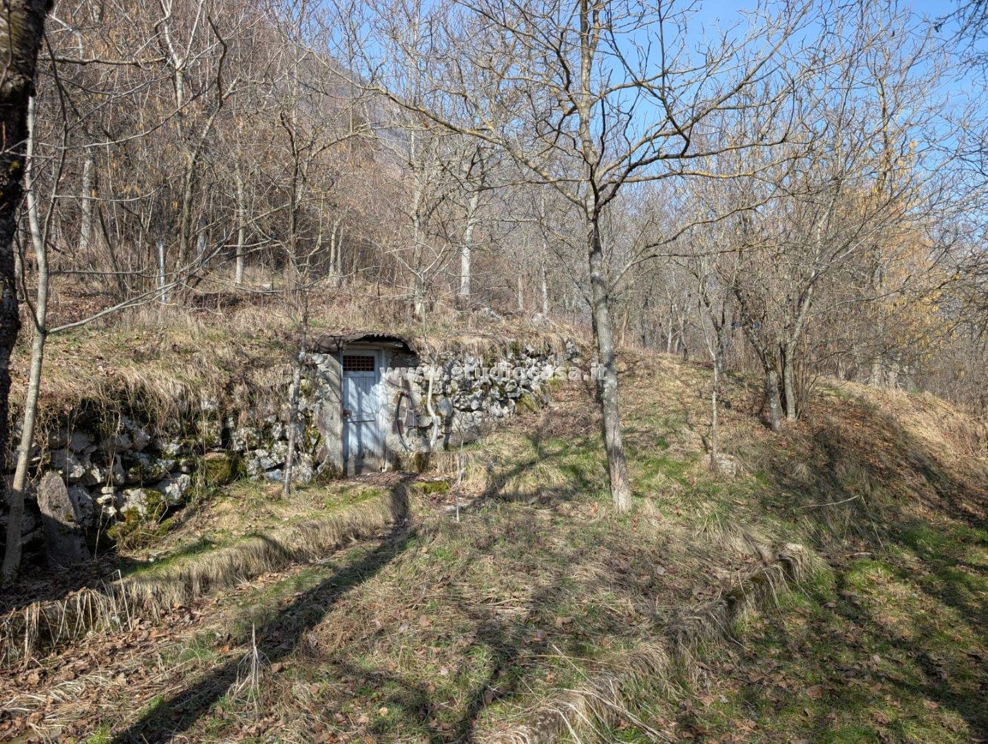 Terreno Boschivo in vendita a Villa Lagarina