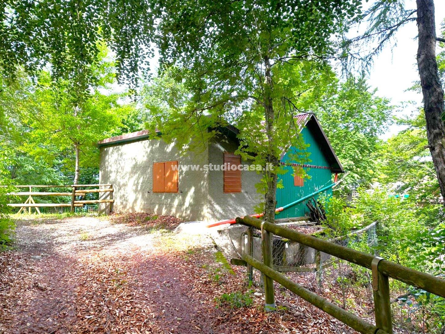 Casa Unifamiliare in vendita a Volano