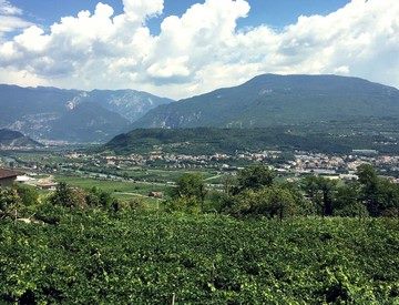 Terreno Residenziale in vendita a Nogaredo