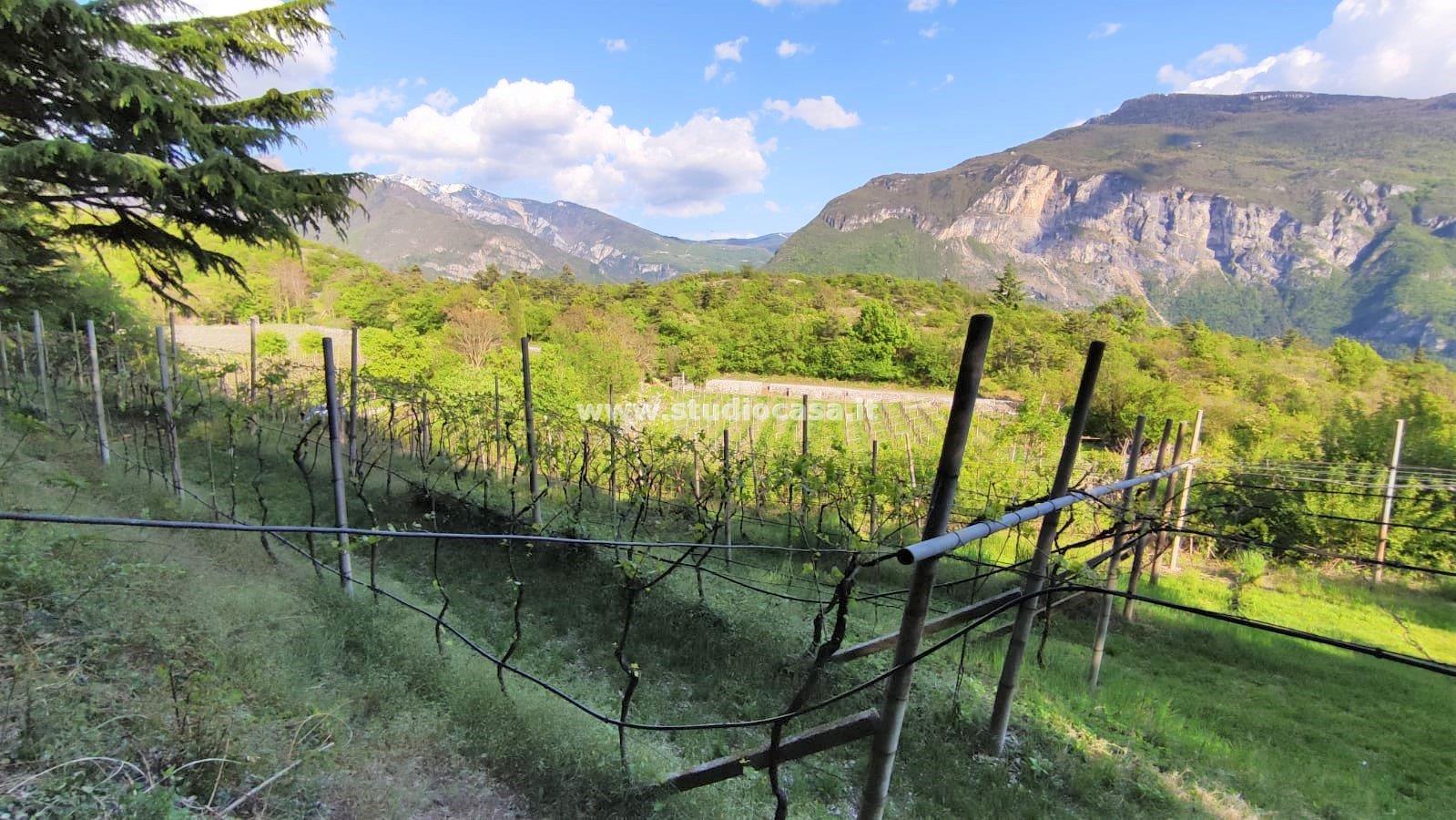 Terreno Agricolo in vendita a Nomi