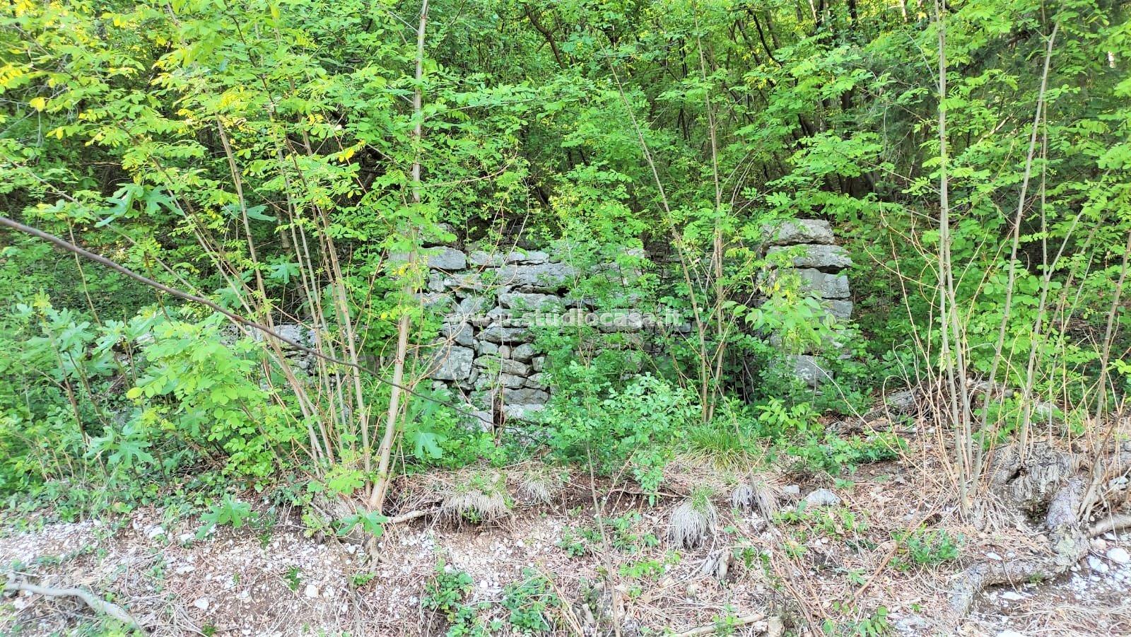 Terreno Agricolo in vendita a Nomi