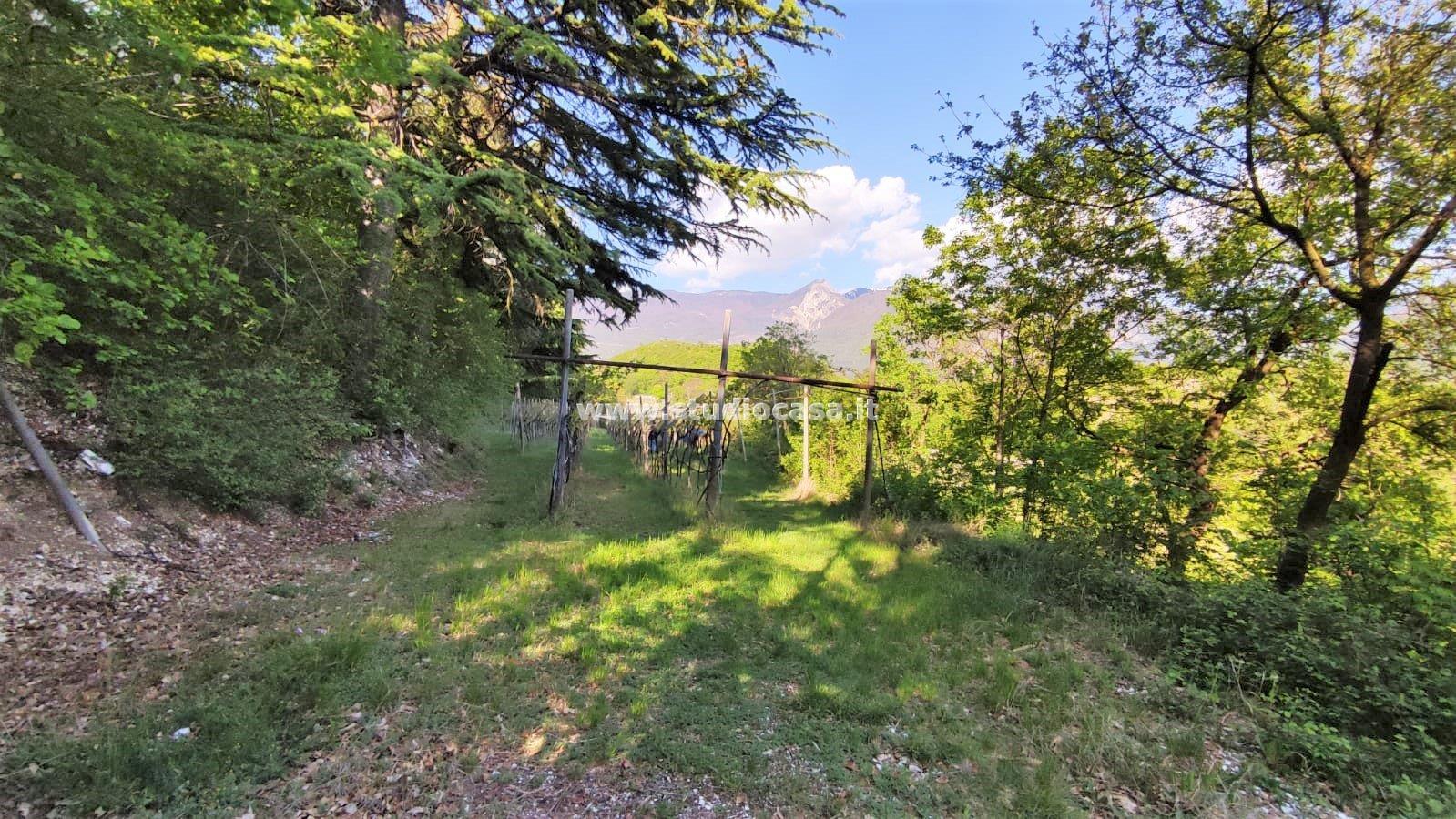 Terreno Agricolo in vendita a Nomi