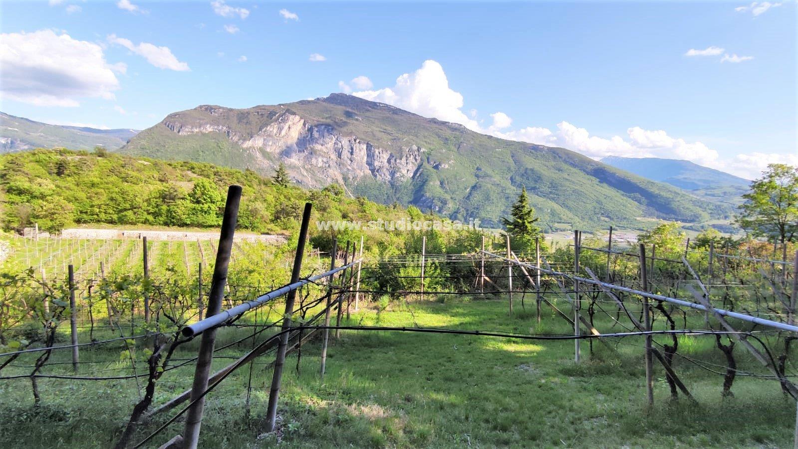 Terreno Agricolo in vendita a Nomi