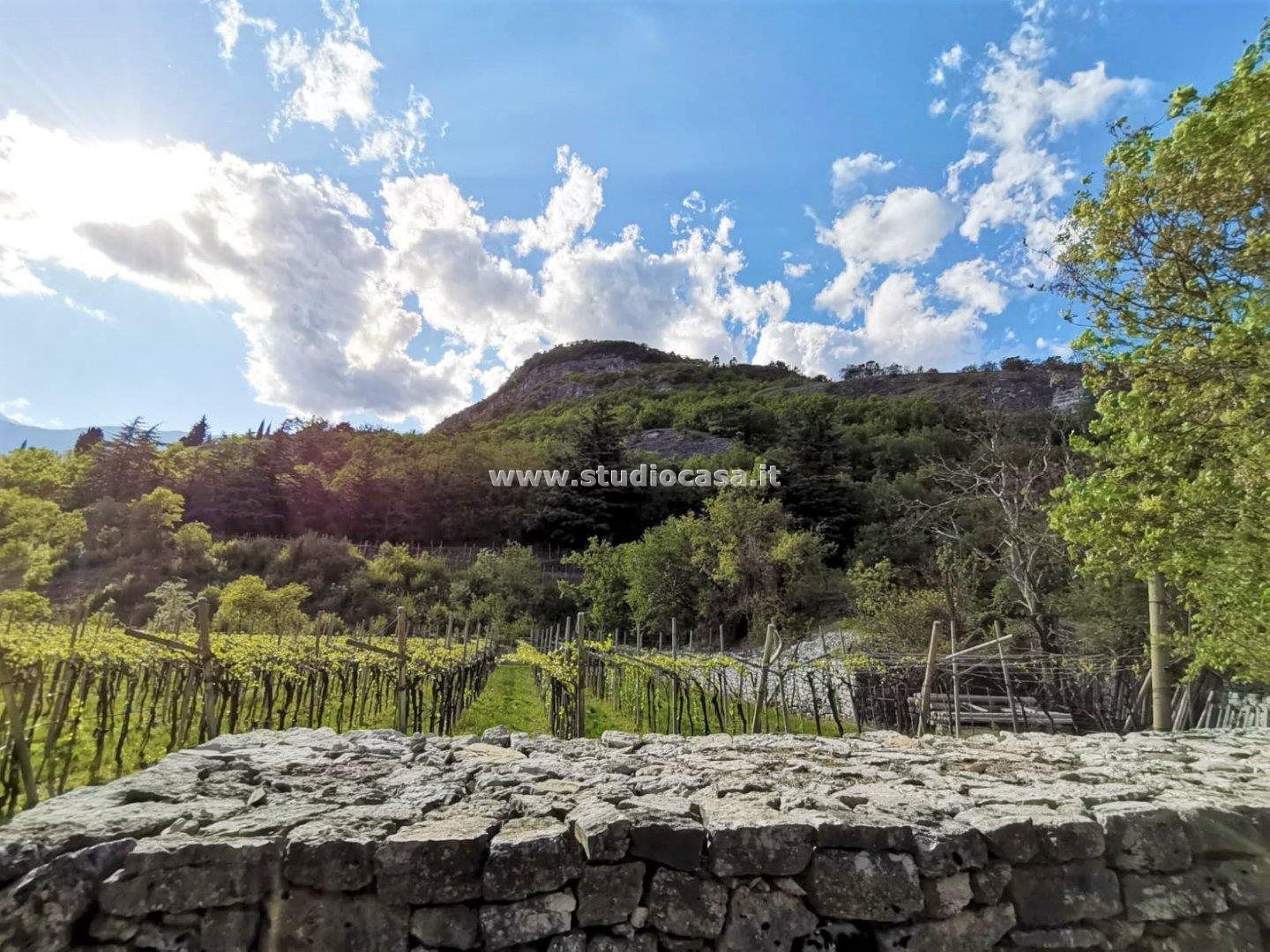 Terreno Agricolo in vendita a Nomi