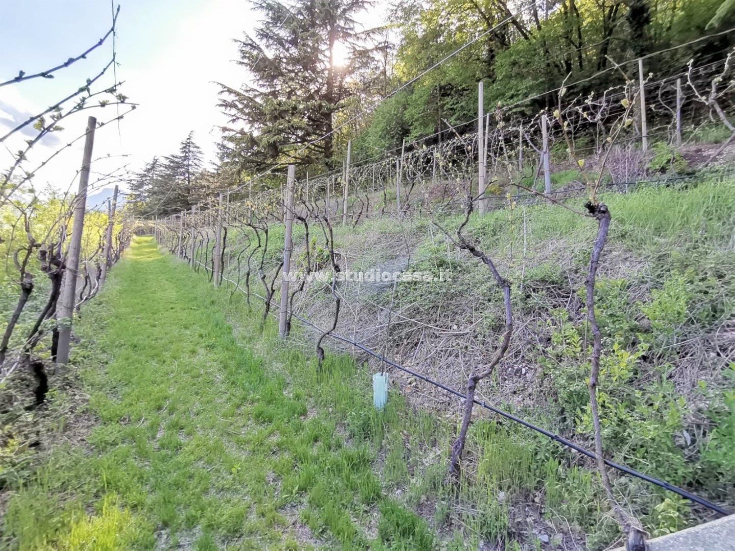Terreno Agricolo in vendita a Nomi