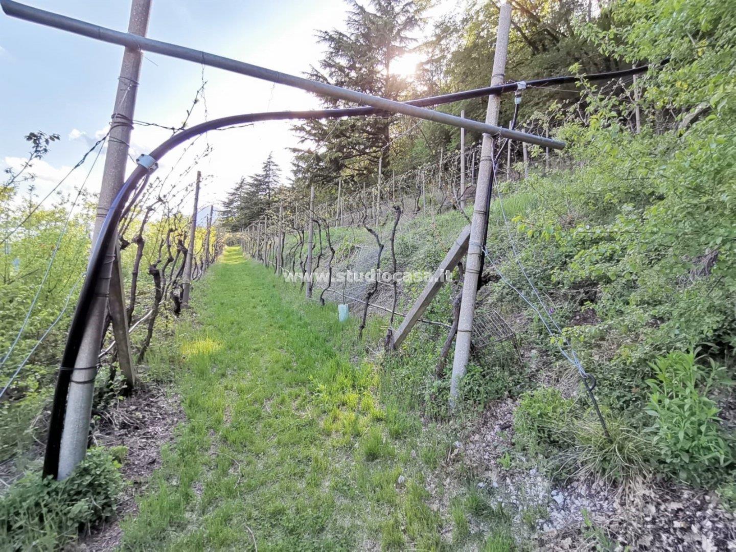 Terreno Agricolo in vendita a Nomi