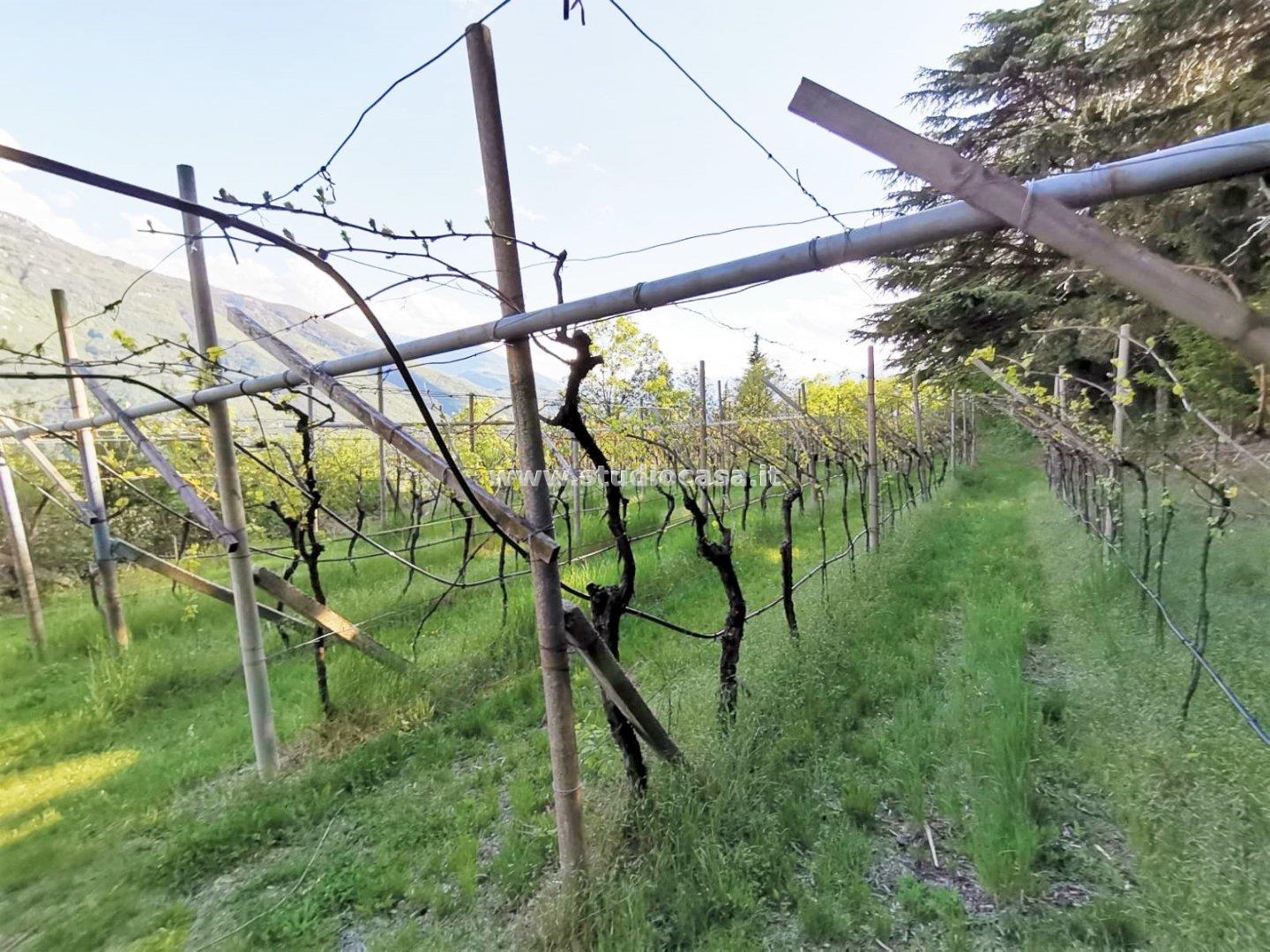 Terreno Agricolo in vendita a Nomi