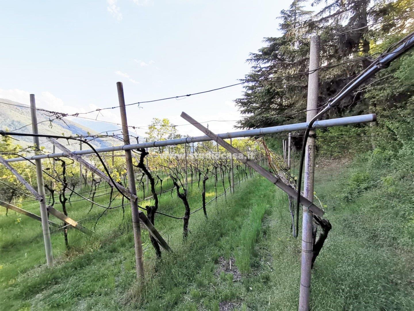 Terreno Agricolo in vendita a Nomi