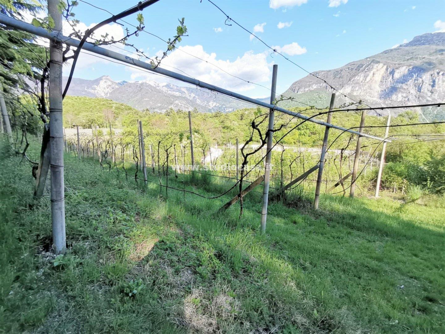 Terreno Agricolo in vendita a Nomi